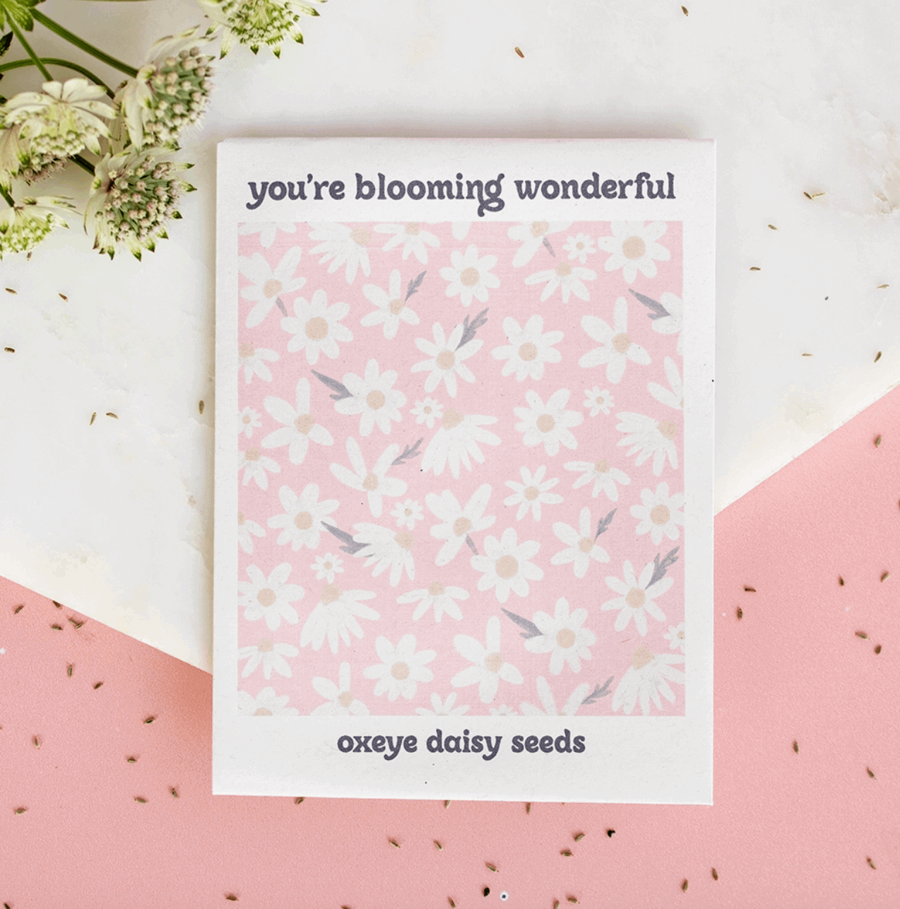 Postal Sementes Margaridas | Daisy Seeds