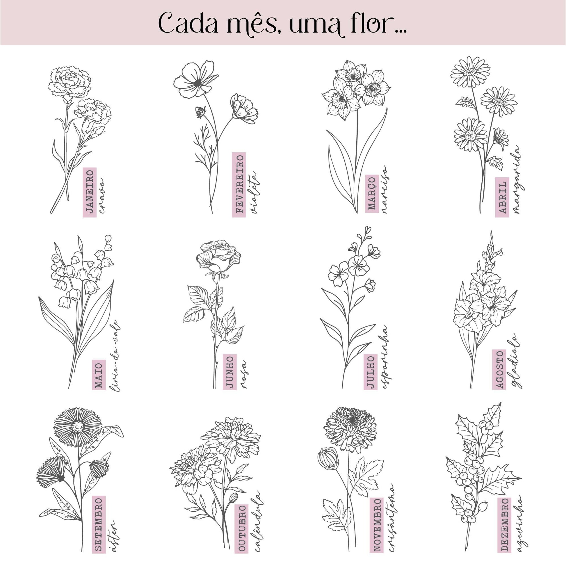 colecao flores de nascimento
